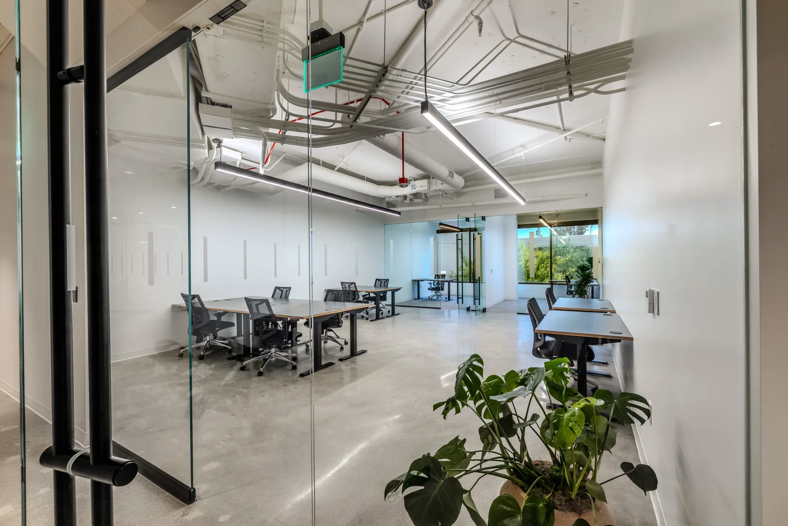 A glass-walled team office with plants